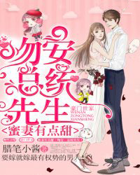 蜜妻有点甜吻安总统先生作者